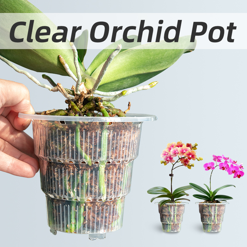 Aloe Vera Pot - Przezroczysty z tworzywa sztucznego doniczki do