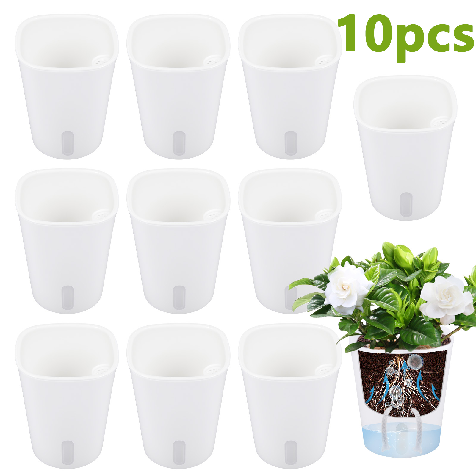Aloe Vera Pot - 10 szt. Samozraszczące się plastikowe doniczki