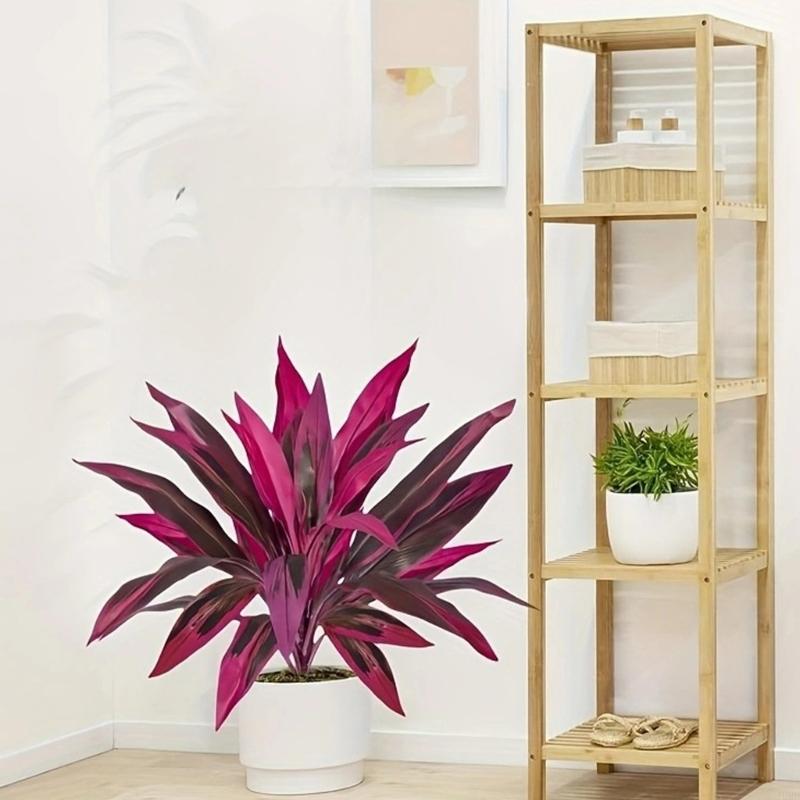 Sztuczna roślina Dracaena Marg – Dracaena Marginata recenzja i cena