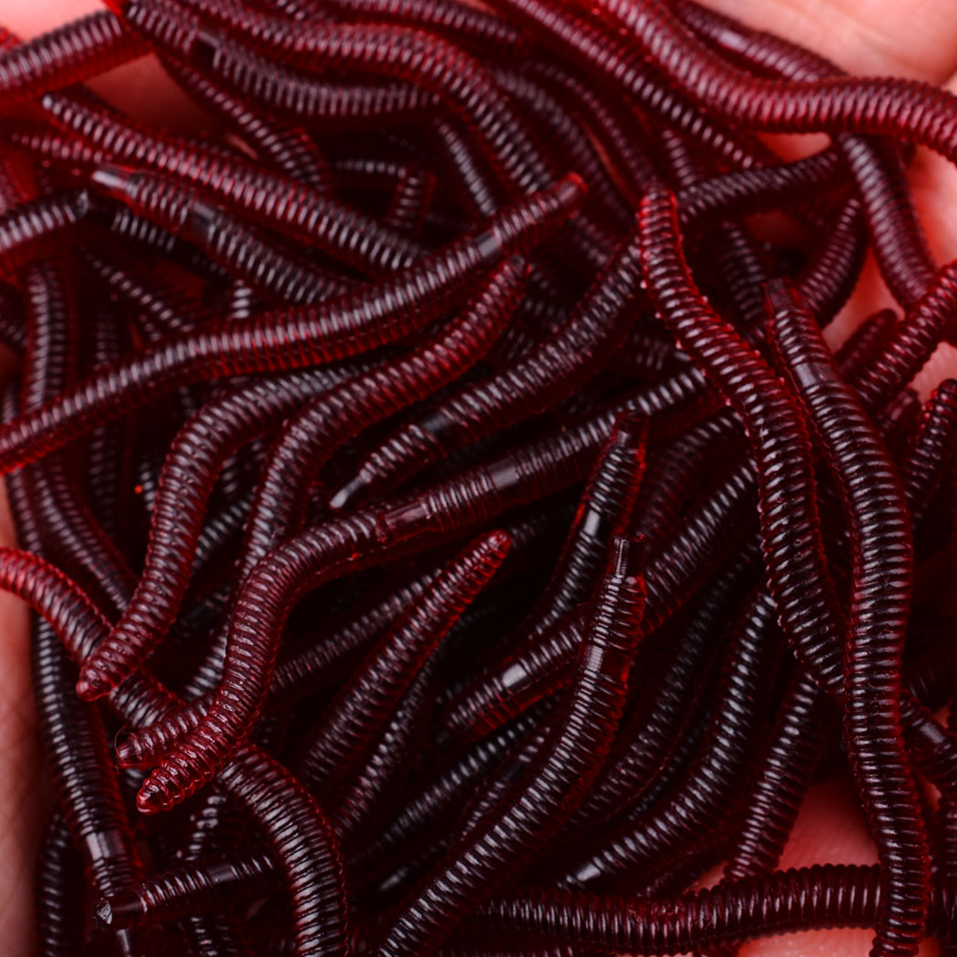 50 sztuk realistyczne czerwony – Aglaonema Red recenzja i cena
