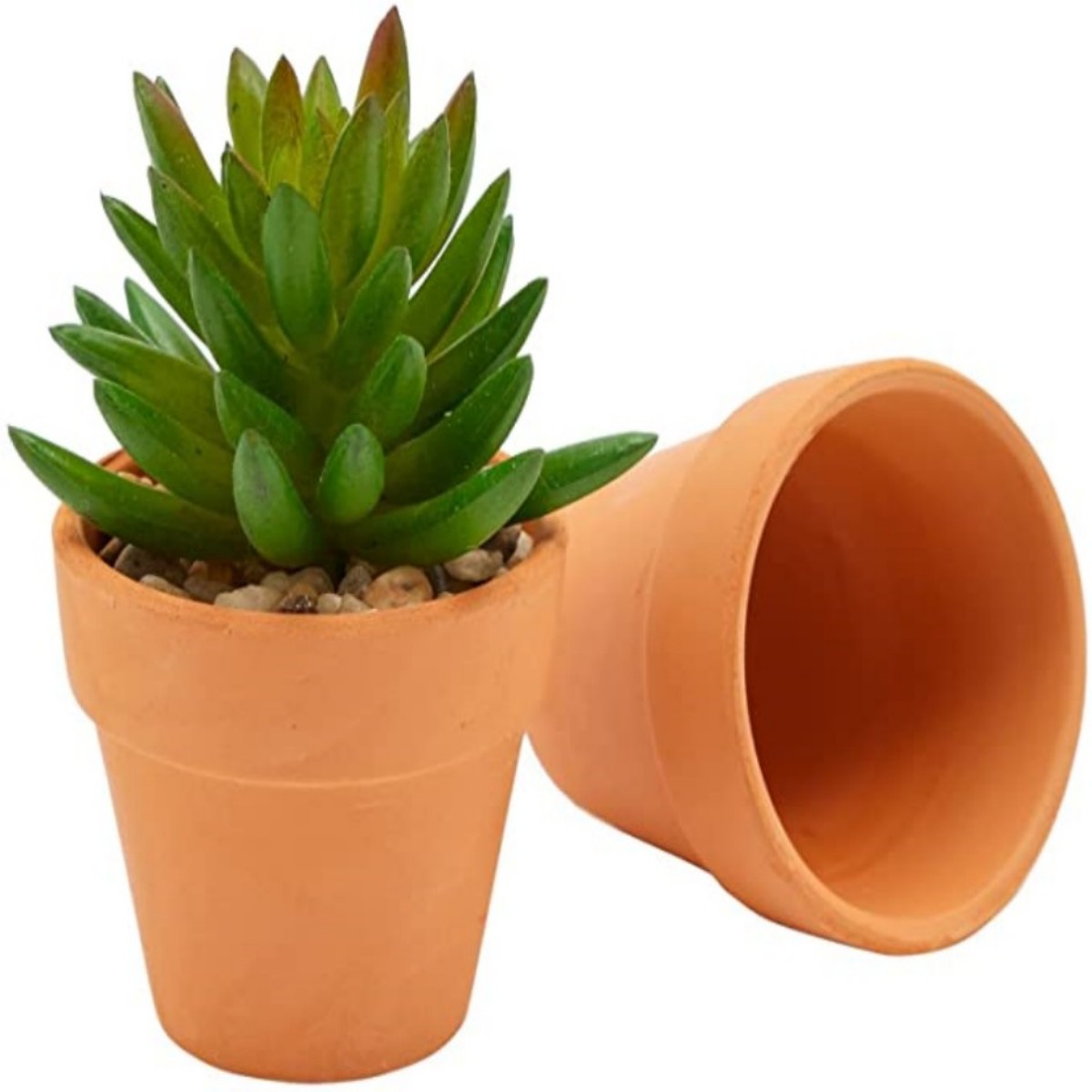 16 szt. Doniczek z terakoty 4, – Echeveria Succulent recenzja i cena