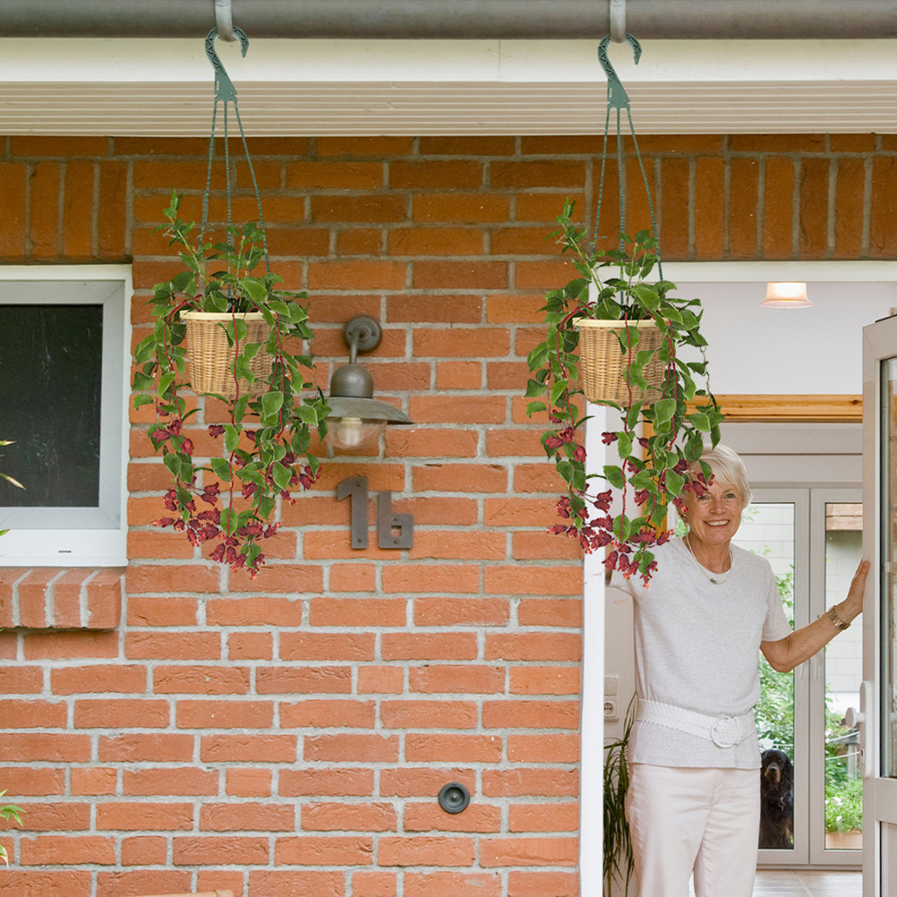 Zestaw 5 haczyków do wiszących – Spider Plant Hanging recenzja i cena