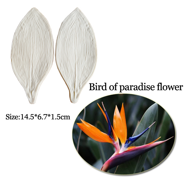 Duże Gumpaste Strelitzia ptaki – Bird Paradise Strelitzia recenzja i cena