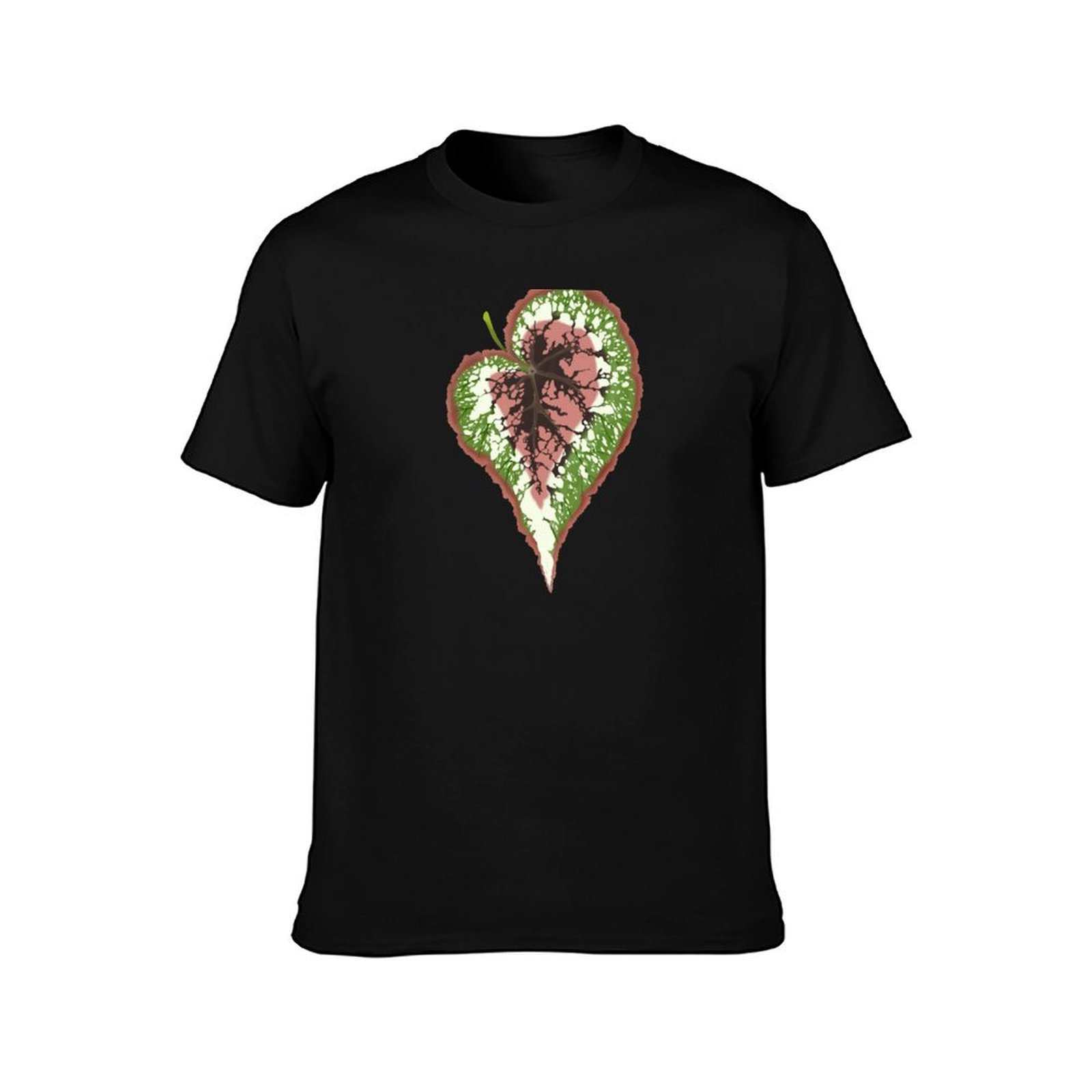 Koszulka Begonia Rex, podstawo – Begonia Rex recenzja i cena