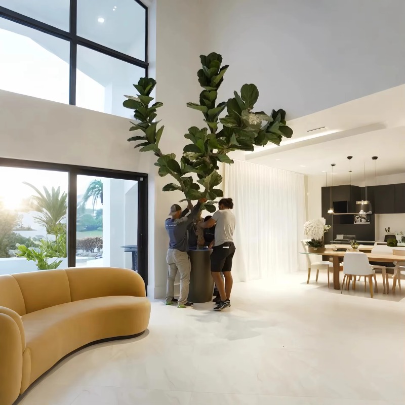 Sztuczne rośliny doniczkowe do – Ficus Lyrata Tree recenzja i cena
