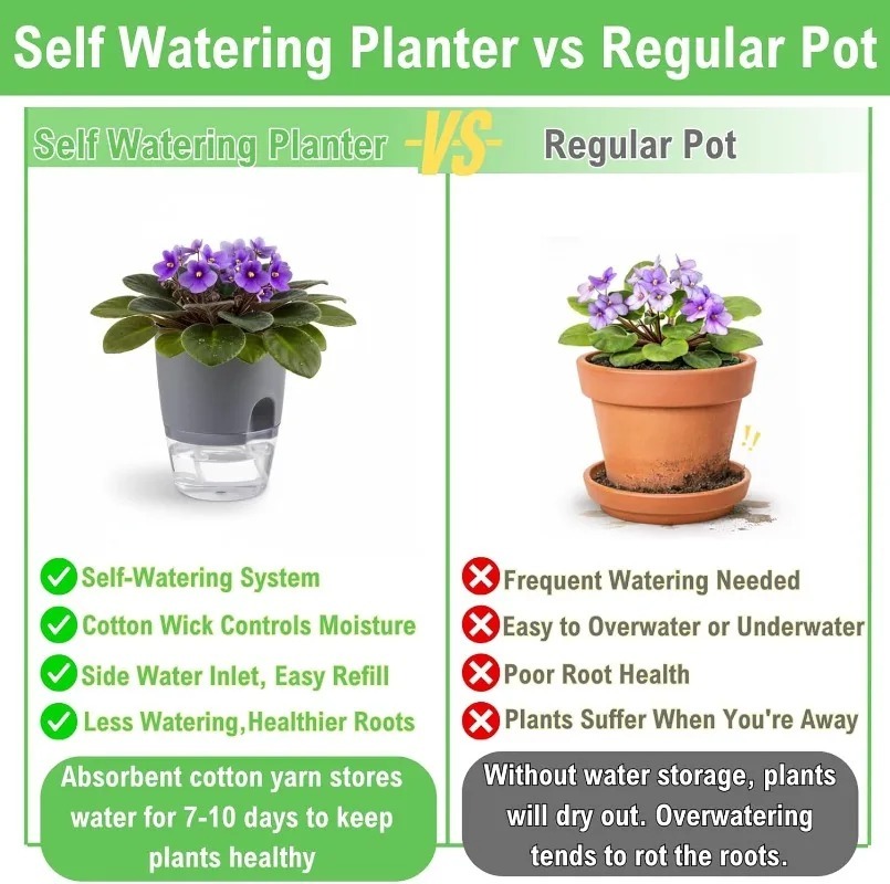 5/1 szt. Samonawadniająca plas – Aloe Vera Pot recenzja i cena