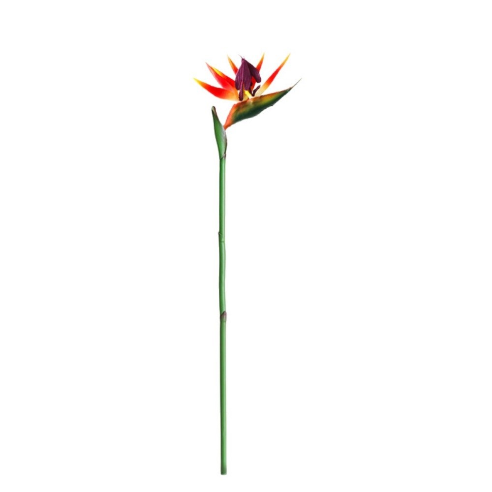 Sztuczne kwiaty strelitzii z d – Bird Paradise Strelitzia recenzja i cena