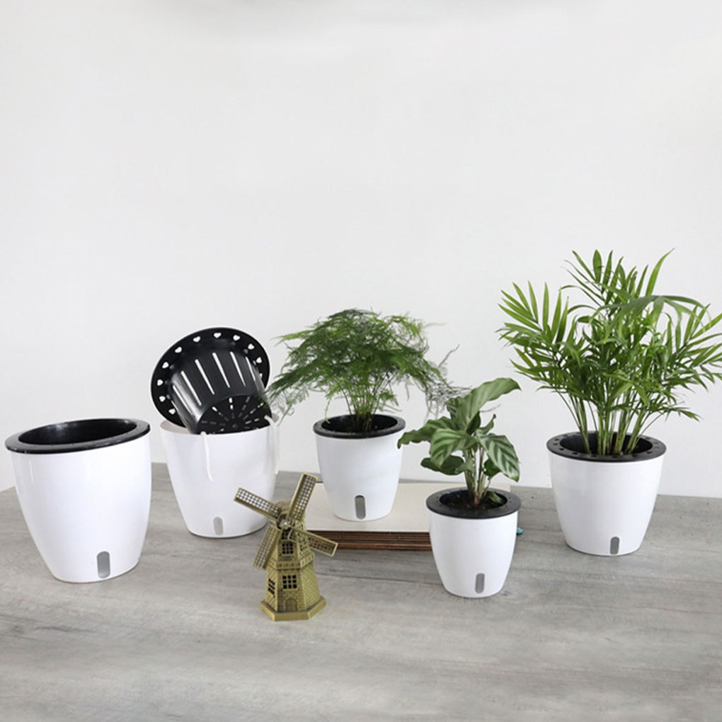 Białe przenośne i ekologiczne  – Aloe Vera Pot recenzja i cena