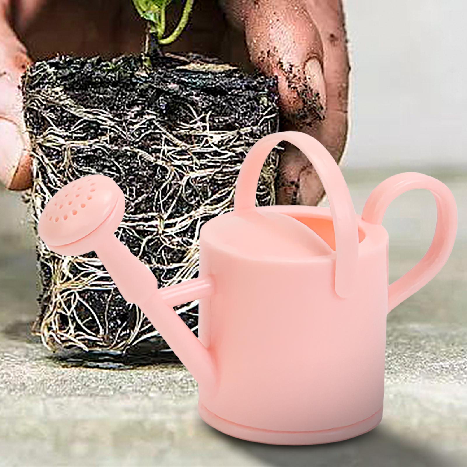Mała konewka dla dzieci, elast – Echeveria Succulent recenzja i cena