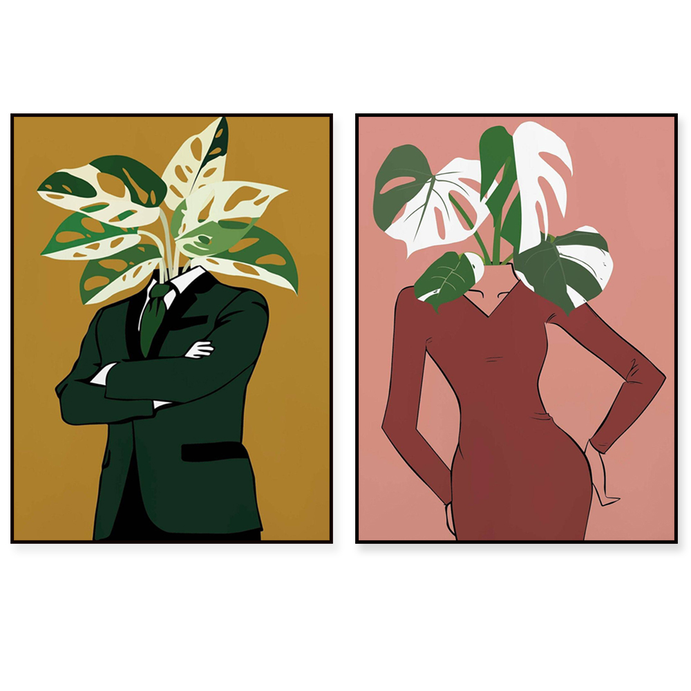 Monstera Albo w bordowej sukie – Monstera Adansonii recenzja i cena