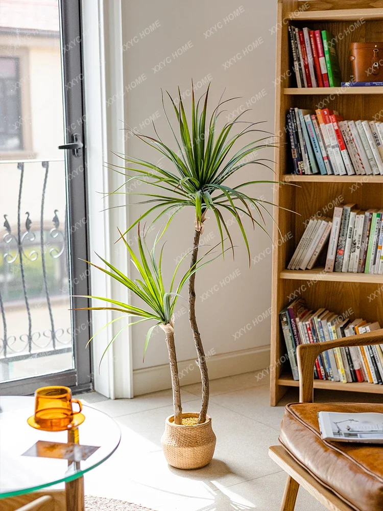 Lekka luksusowa symulacja ziel – Dracaena Marginata recenzja i cena