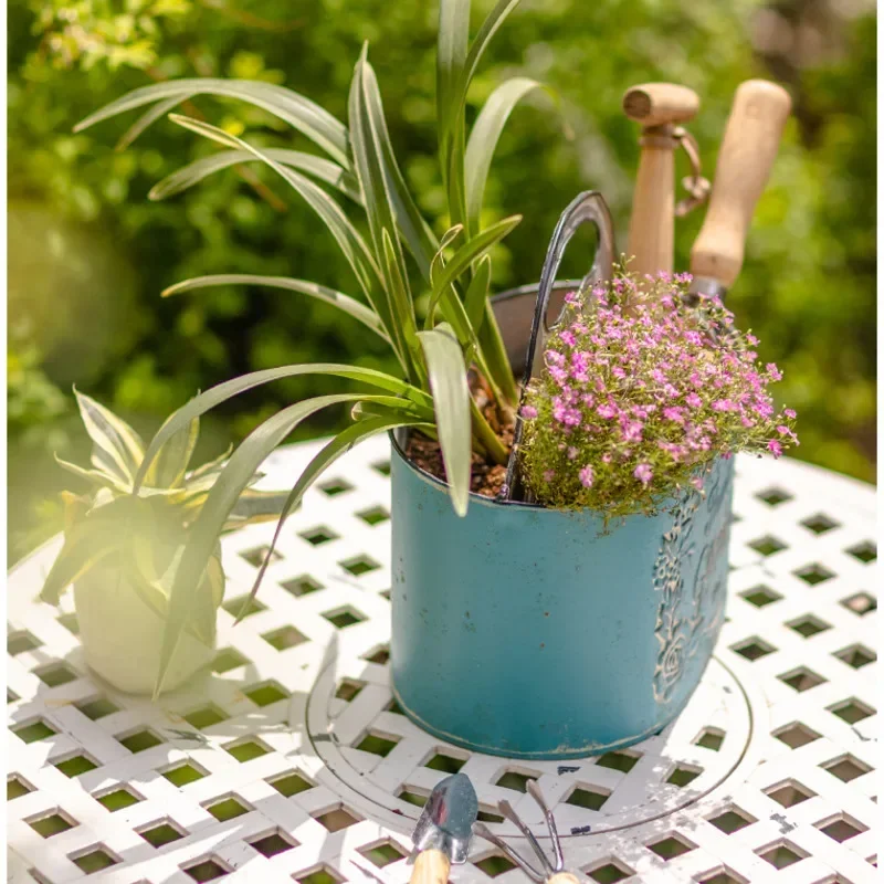 Niebieska wisząca donica ścien – Spider Plant Hanging recenzja i cena