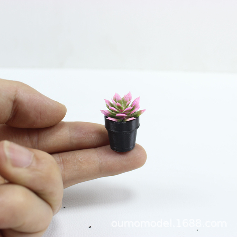 Miniaturowe Symulowane Rośliny – Echeveria Succulent recenzja i cena