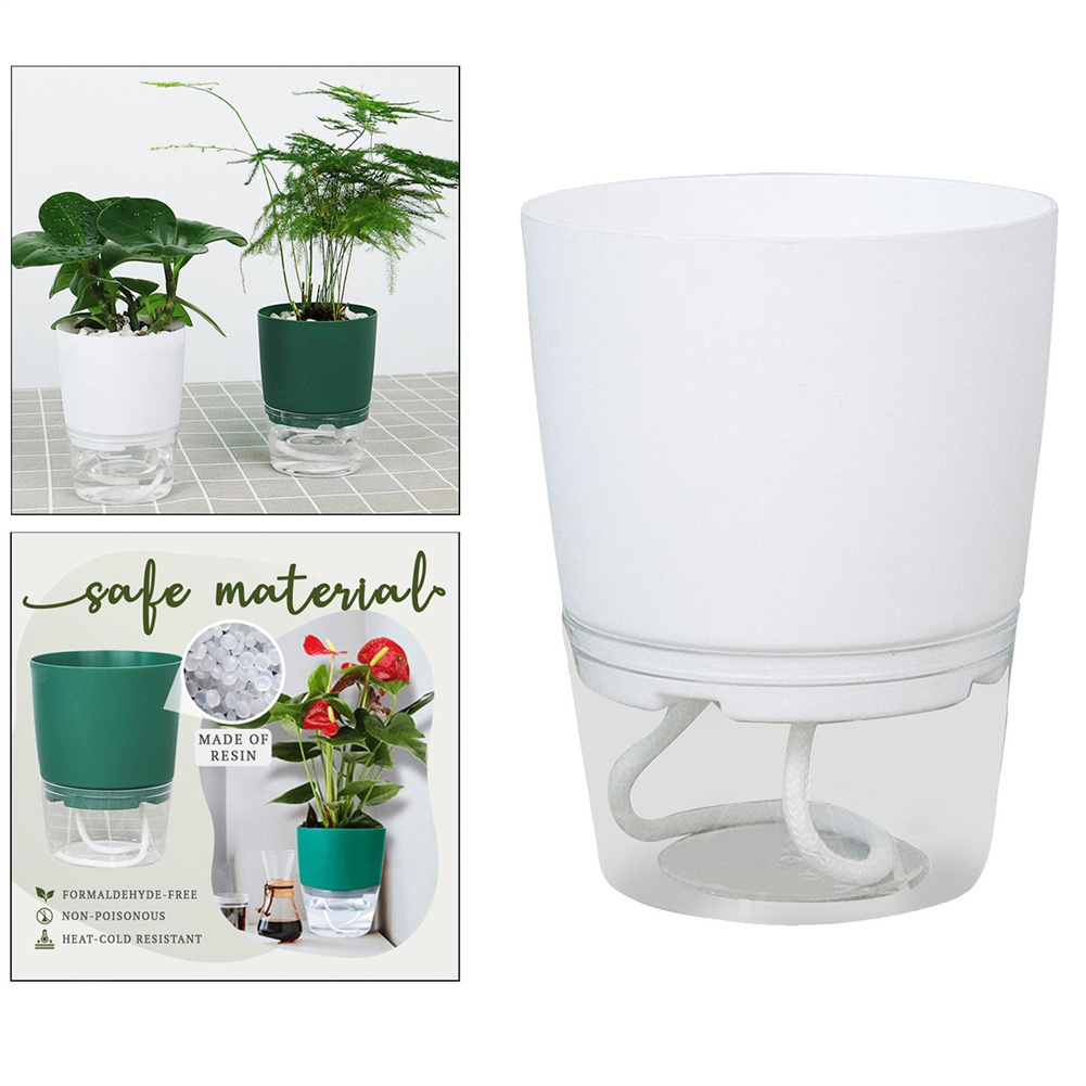 Leniwa hydroponiczna doniczka  – Aloe Vera Pot recenzja i cena