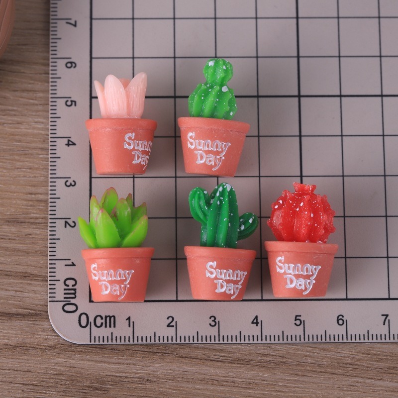 5 szt. sztucznych sukulentów w – Echeveria Succulent recenzja i cena
