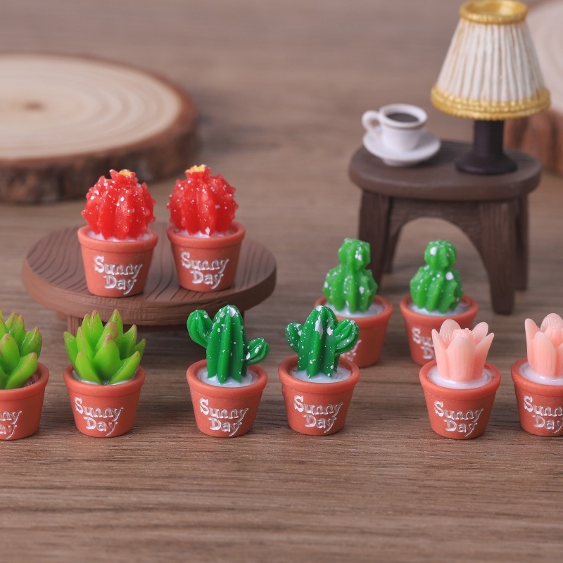 5 szt. sztucznych sukulentów w – Echeveria Succulent recenzja i cena